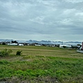 IMG_7980.jpeg