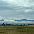 IMG_7981.jpeg