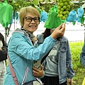 IMG_8002.jpeg