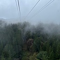 IMG_8022.jpeg