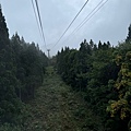 IMG_8020.jpeg