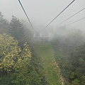IMG_8033.jpeg