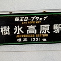 IMG_8029.jpeg