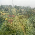 IMG_8036.jpeg