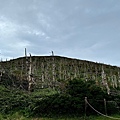 IMG_8045.jpeg