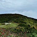 IMG_8069.jpeg