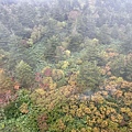IMG_8114.jpeg