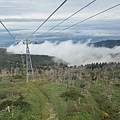 IMG_8041.jpeg