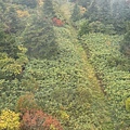 IMG_8037.jpeg