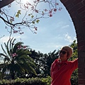 IMG_0487.jpeg