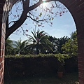 IMG_0478.jpeg