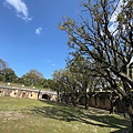 IMG_0340.jpeg
