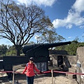 IMG_0368.jpeg