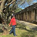 IMG_0359.jpeg