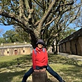 IMG_0350.jpeg
