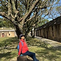 IMG_0348.jpeg