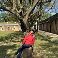 IMG_0349.jpeg