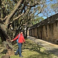 IMG_0358.jpeg