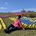 IMG_6742.jpeg