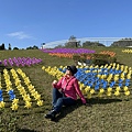 IMG_6738.jpeg