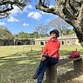 IMG_6735.jpeg
