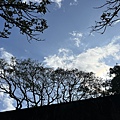 IMG_6736.jpeg