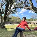 IMG_6733.jpeg