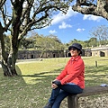 IMG_6734.jpeg