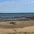 IMG_1727.jpeg