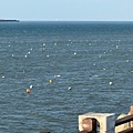 IMG_1657.jpeg
