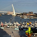 IMG_1646.jpeg