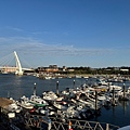 IMG_1651.jpeg