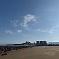 IMG_1734.jpeg