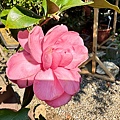 IMG_1879.jpeg