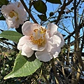 IMG_1894.jpeg