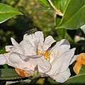 IMG_1903.jpeg