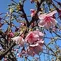 IMG_1905.jpeg