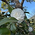 IMG_1897.jpeg