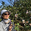 IMG_1909.jpeg