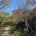 IMG_1915.jpeg
