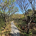 IMG_1920.jpeg