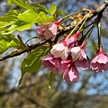 IMG_1928.jpeg