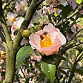 IMG_1924.jpeg