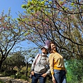 IMG_1937.jpeg