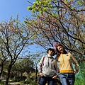 IMG_1942.jpeg