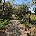 IMG_1945.jpeg