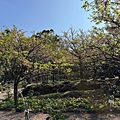 IMG_1946.jpeg