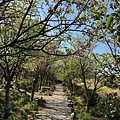 IMG_1947.jpeg