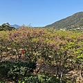 IMG_1948.jpeg