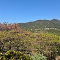 IMG_1952.jpeg